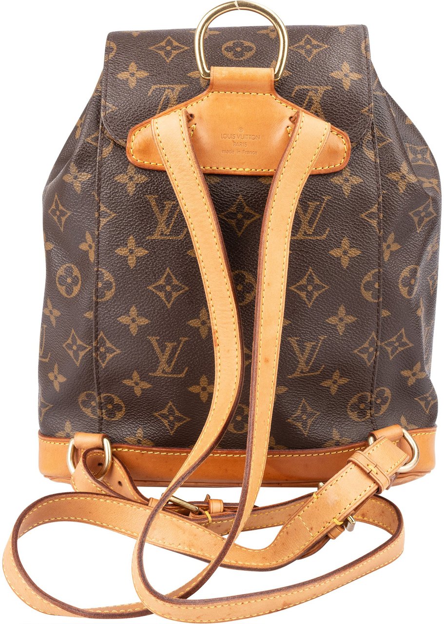 Louis Vuitton Louis Vuitton Canvas Monogram Montsouris MM Handbag Bruin