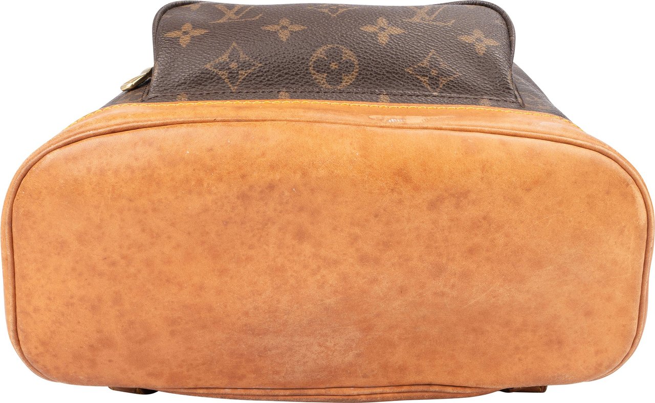 Louis Vuitton Louis Vuitton Canvas Monogram Montsouris MM Backpack Bruin