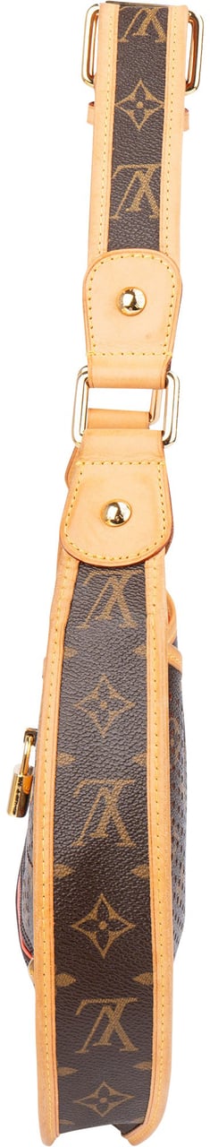 Louis Vuitton Louis Vuitton Limited Perforated Demi Lune Shoulder Bag Bruin