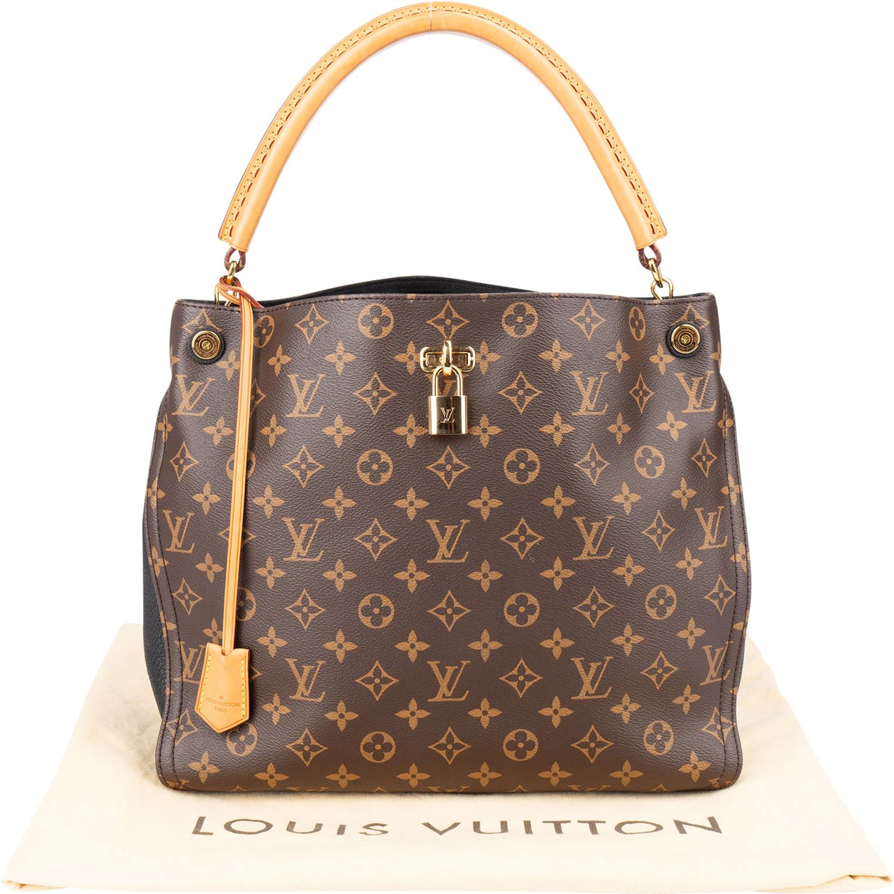 Louis Vuitton Louis Vuitton Canvas Monogram Gaia Handbag Bruin