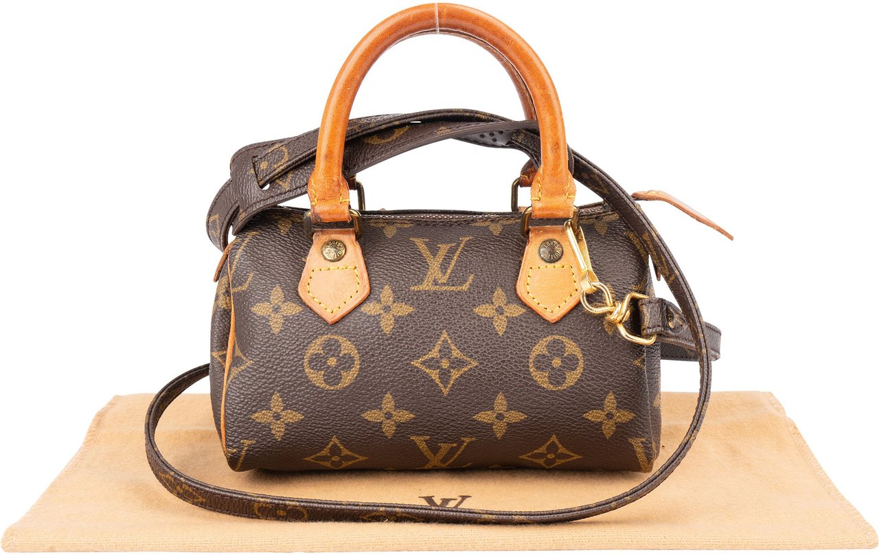 Louis Vuitton Louis Vuitton Canvas Monogram Mini Speedy Handbag Bruin