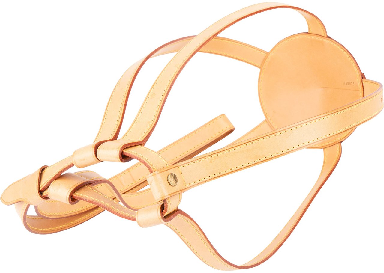 Louis Vuitton Louis Vuitton Canvas Monogram Limited France WM 1998 Football Bruin