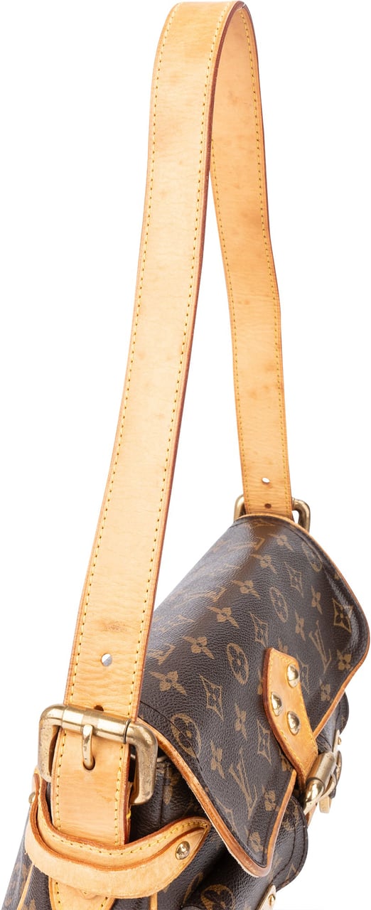 Louis Vuitton Canvas Monogram Hudson PM Shoulder Bag Bruin