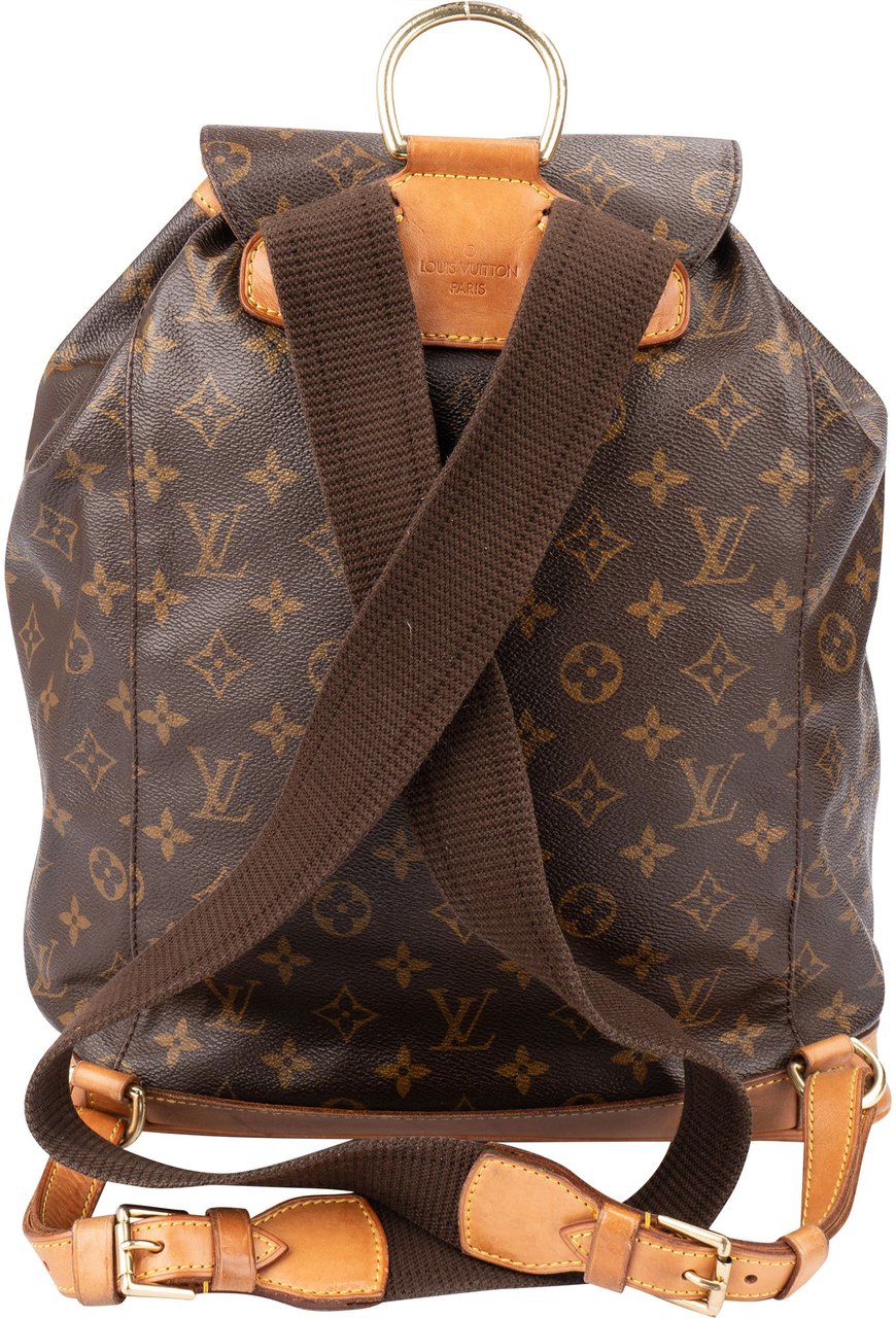 Louis Vuitton Louis Vuitton Canvas Monogram Montsouris GM Backpack Bruin