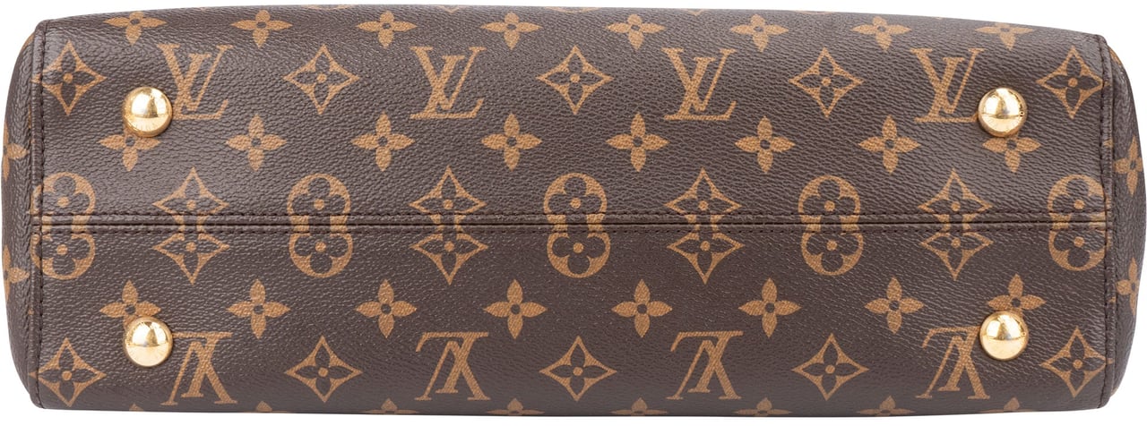 Louis Vuitton Louis Vuitton Canvas Monogram Venus Handbag Bruin