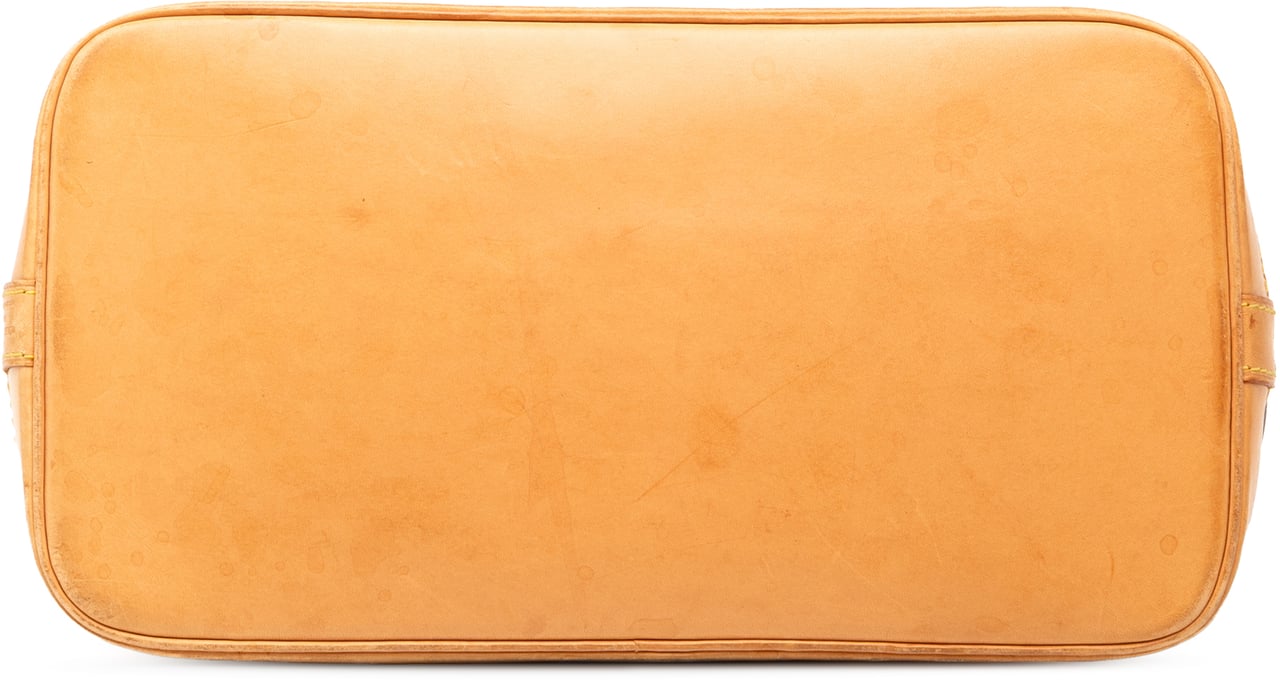 Louis Vuitton Monogram Alma PM Bruin