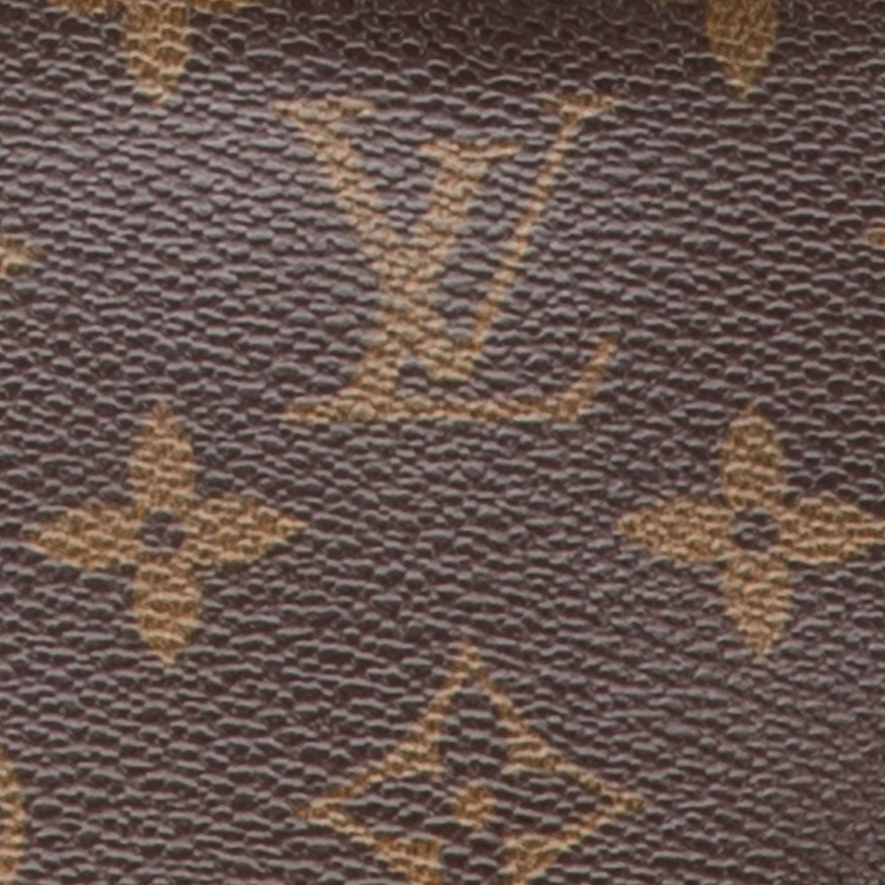Louis Vuitton Monogram Looping MM Bruin