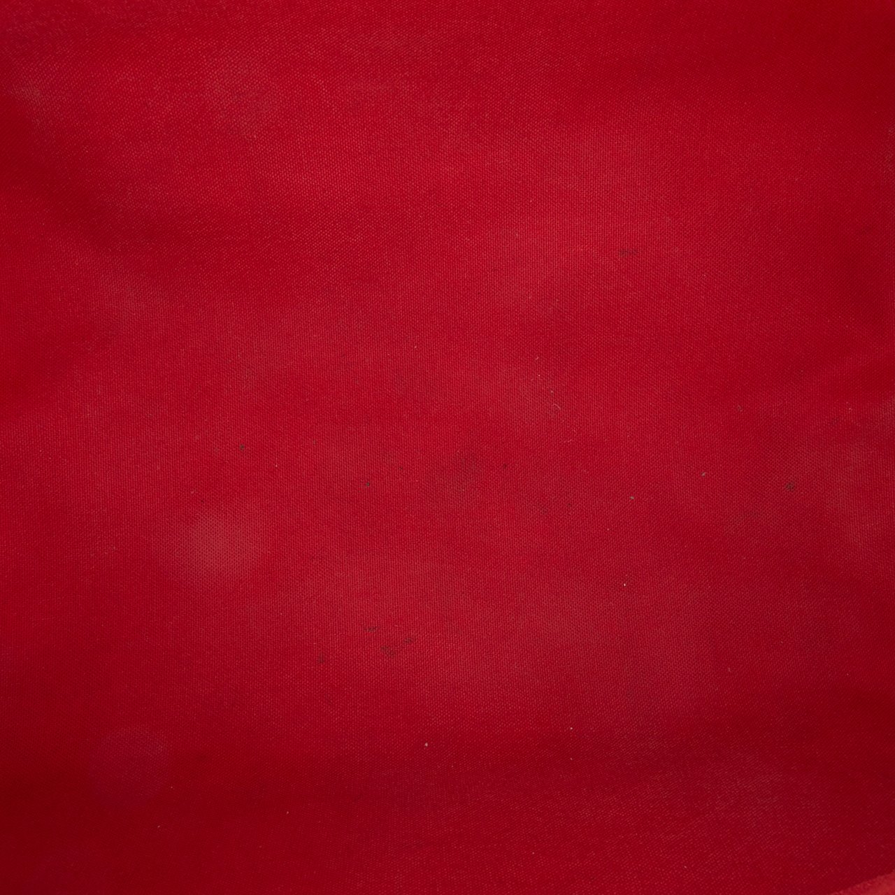 Louis Vuitton Damier Ebene Speedy 30 Bruin