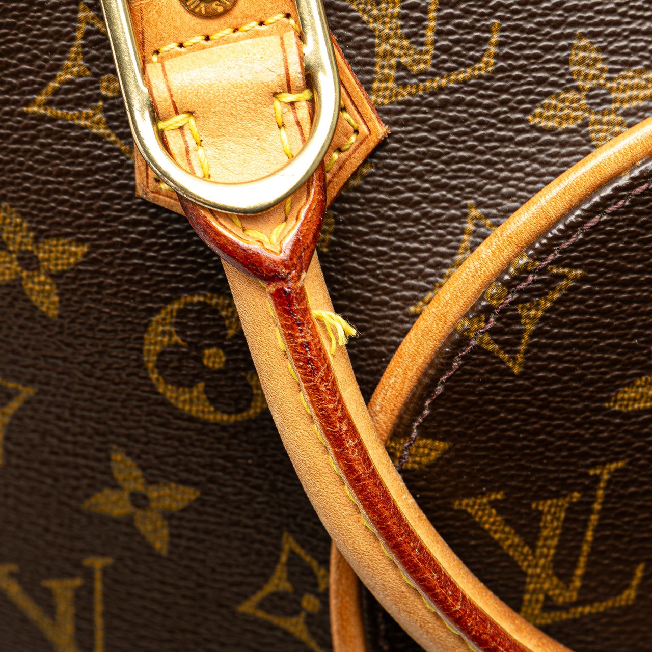 Louis Vuitton Monogram Ellipse PM Bruin