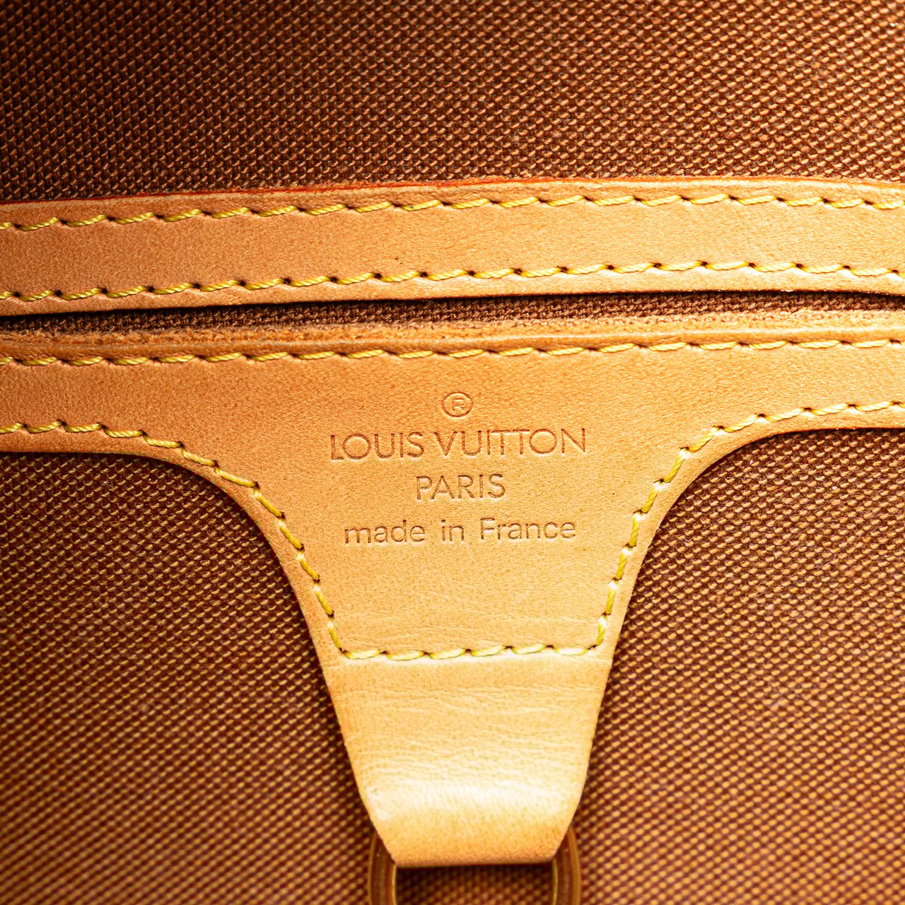 Louis Vuitton Monogram Ellipse PM Bruin