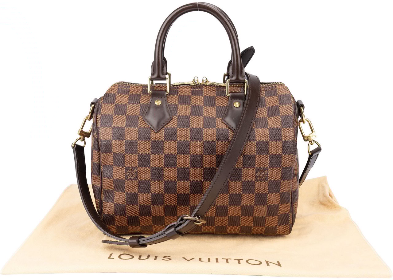 Louis Vuitton Louis Vuitton Damier Ebene Monogram Speedy 25 Handbag Bruin