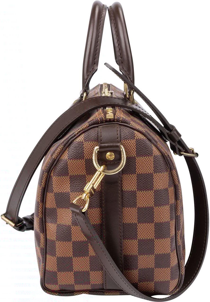 Louis Vuitton Louis Vuitton Damier Ebene Monogram Speedy 25 Handbag Bruin