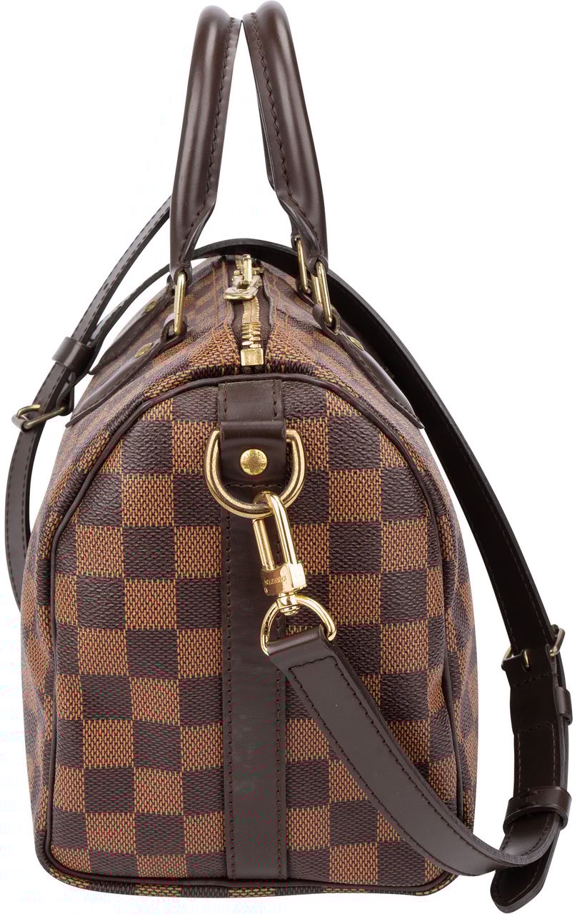 Louis Vuitton Louis Vuitton Damier Ebene Monogram Speedy 25 Handbag Bruin