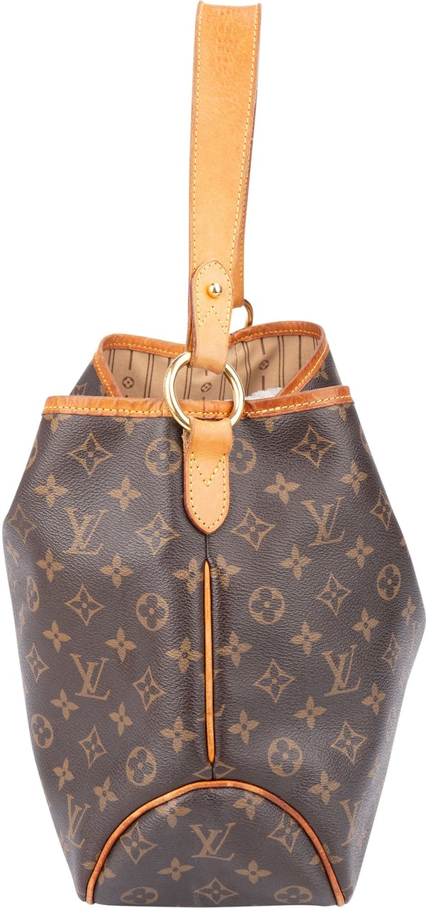 Louis Vuitton Louis Vuitton Canvas Monogram Delightful PM Handbag Bruin