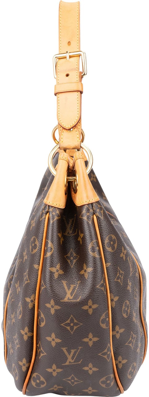 Louis Vuitton Louis Vuitton Canvas Monogram Galliera PM Handbag Bruin