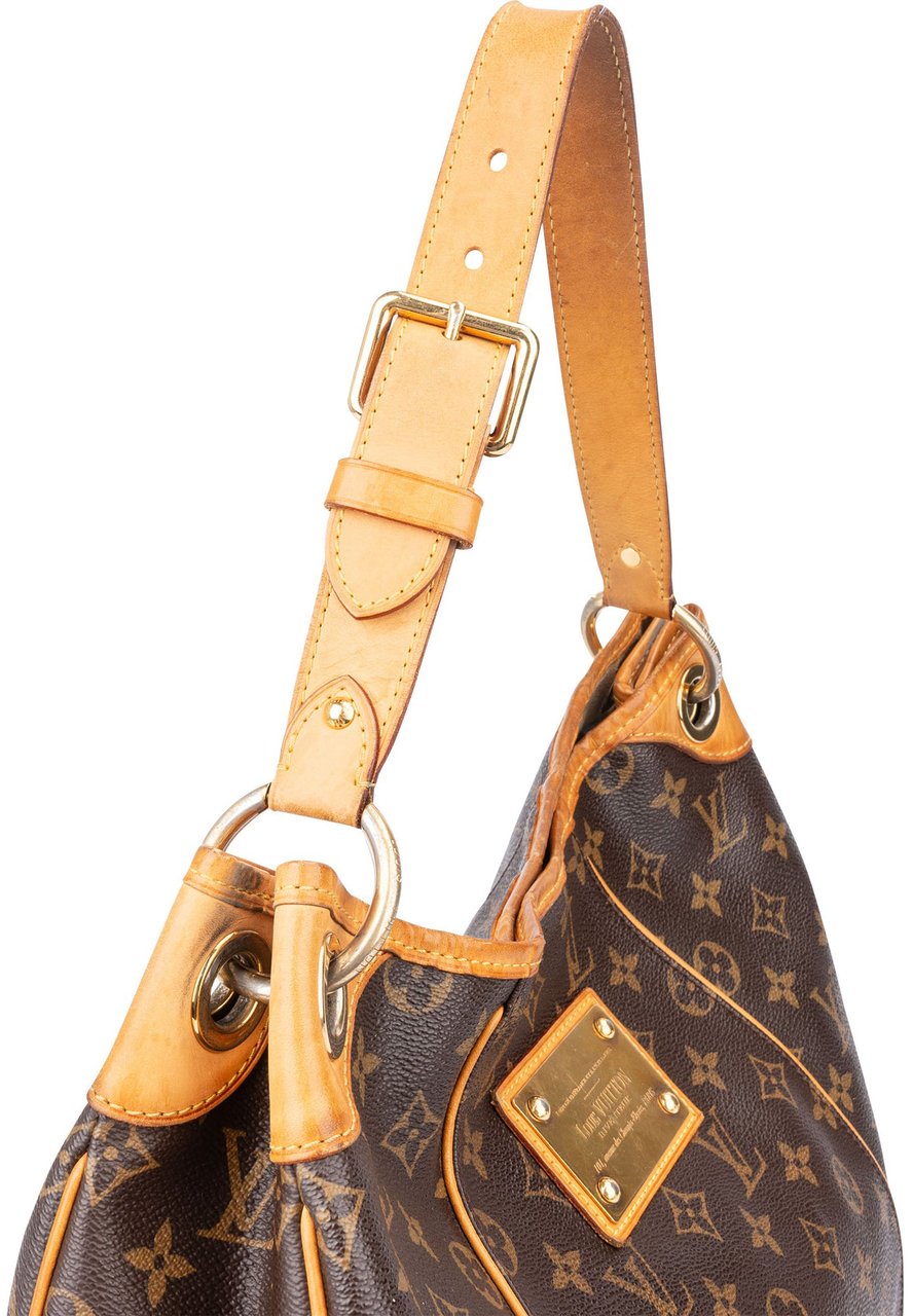 Louis Vuitton Louis Vuitton Canvas Monogram Galliera PM Handbag Bruin