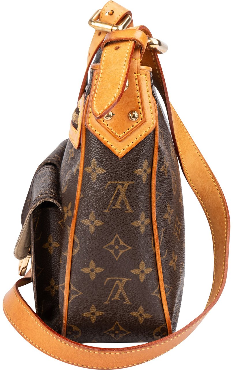 Louis Vuitton Louis Vuitton Canvas Monogram Hudson GM Crossbody Bag Bruin