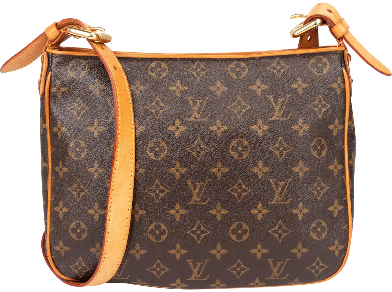 Louis Vuitton Louis Vuitton Canvas Monogram Hudson GM Crossbody Bag Bruin