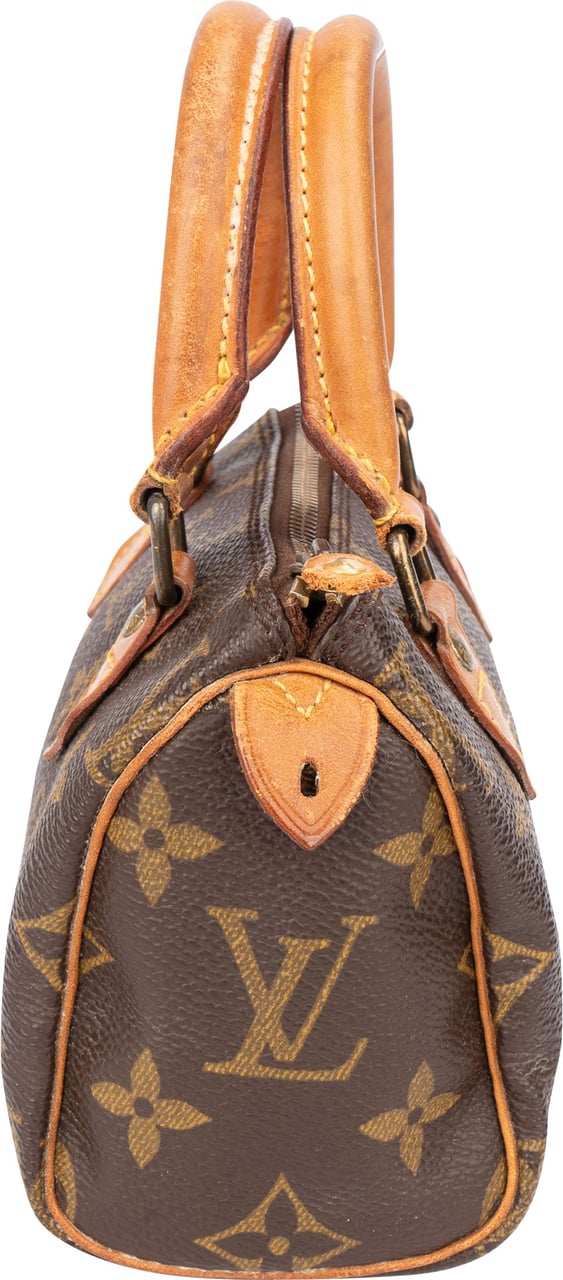 Louis Vuitton Louis Vuitton Canvas Monogram Mini Speedy Handbag Bruin