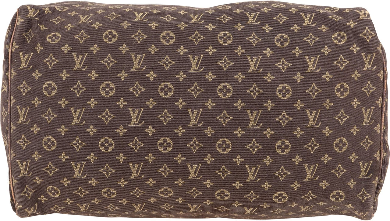 Louis Vuitton Louis Vuitton Mini Lin Monogram Speedy 30 Handbag Bruin
