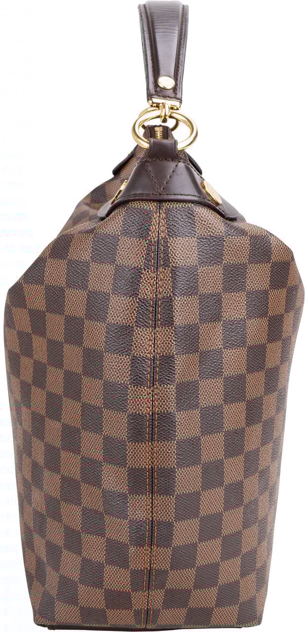 Louis Vuitton Louis Vuitton Damier Ebene Monogram Duomo Hobo Bag Bruin