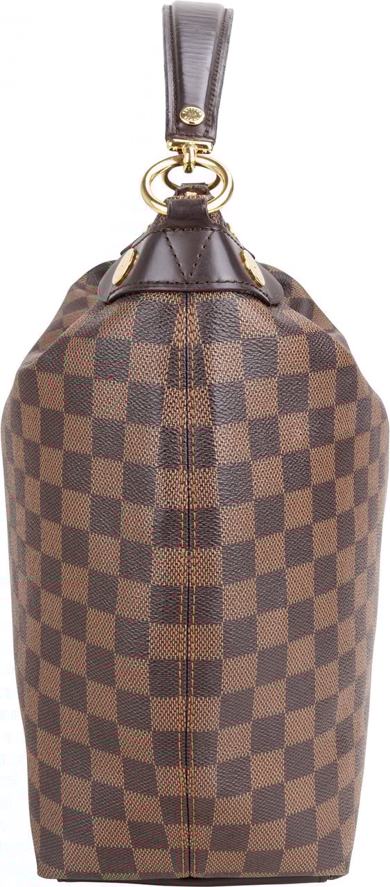 Louis Vuitton Louis Vuitton Damier Ebene Monogram Duomo Hobo Bag Bruin