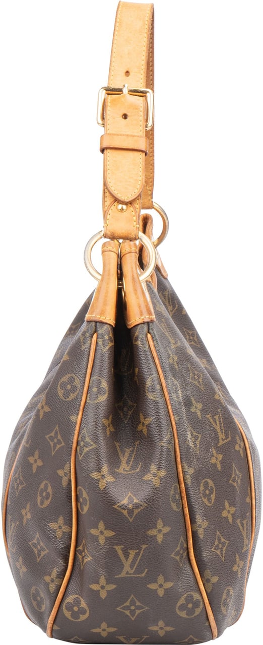 Louis Vuitton Louis Vuitton Canvas Monogram Galliera PM Handbag Bruin