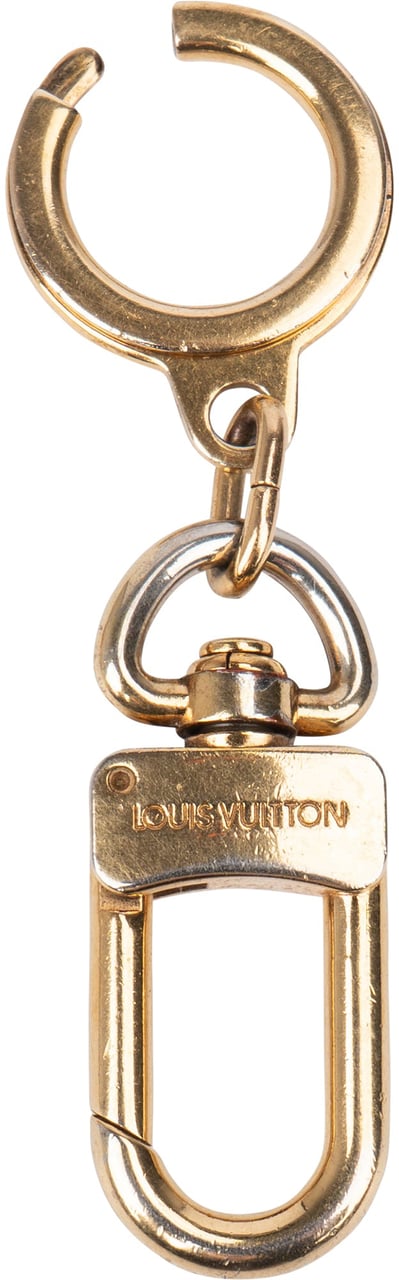 Louis Vuitton Louis Vuitton Gold Tone Pochette Extension Oranje