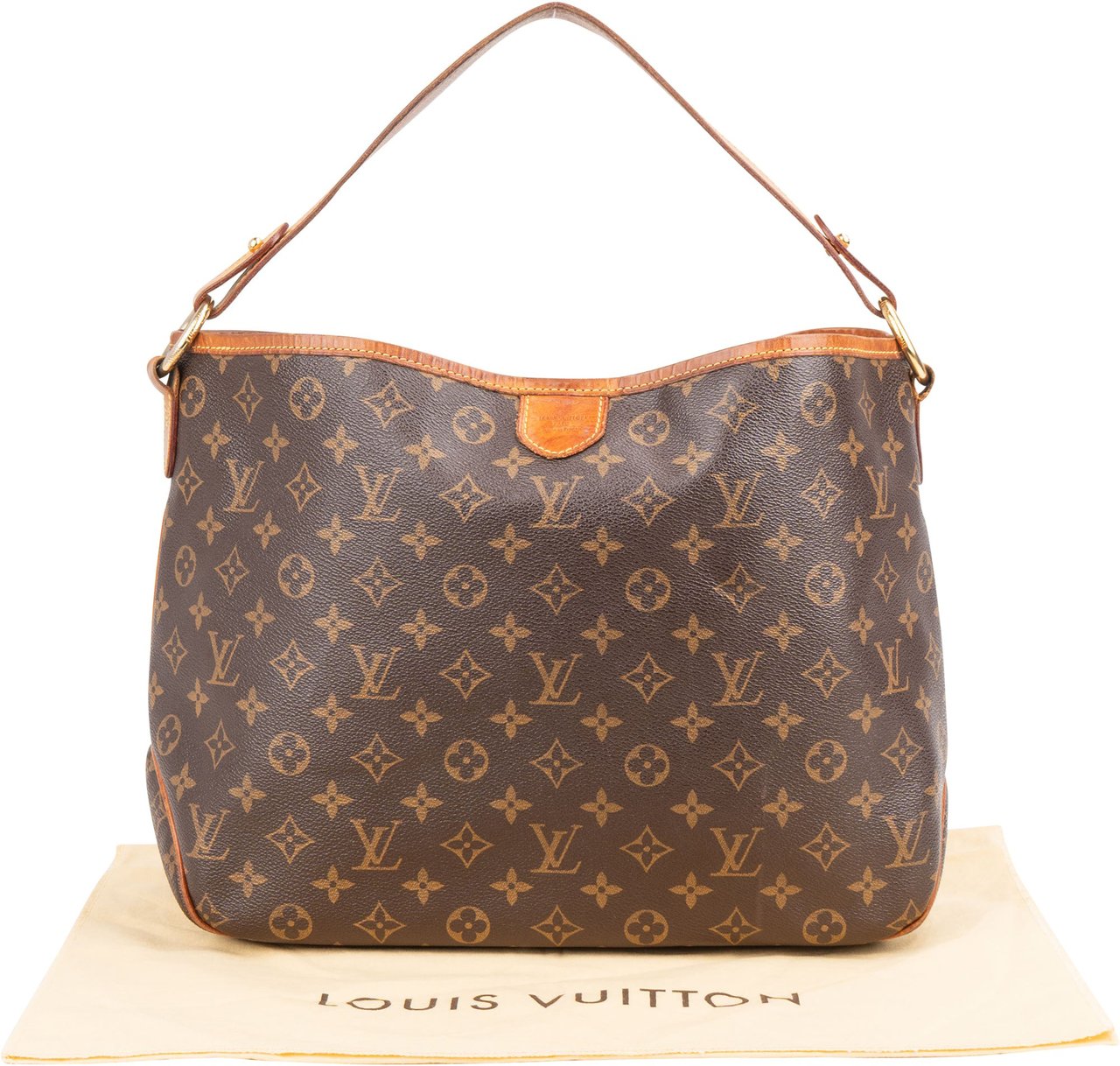 Louis Vuitton Louis Vuitton Canvas Monogram Delightful PM Handbag Bruin