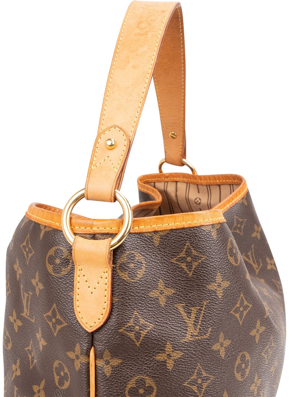 Louis Vuitton Louis Vuitton Canvas Monogram Delightful PM Handbag Divers