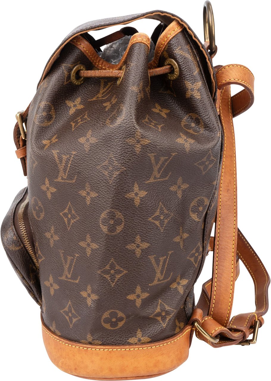 Louis Vuitton Louis Vuitton Canvas Monogram Montsouris MM Backpack Bruin