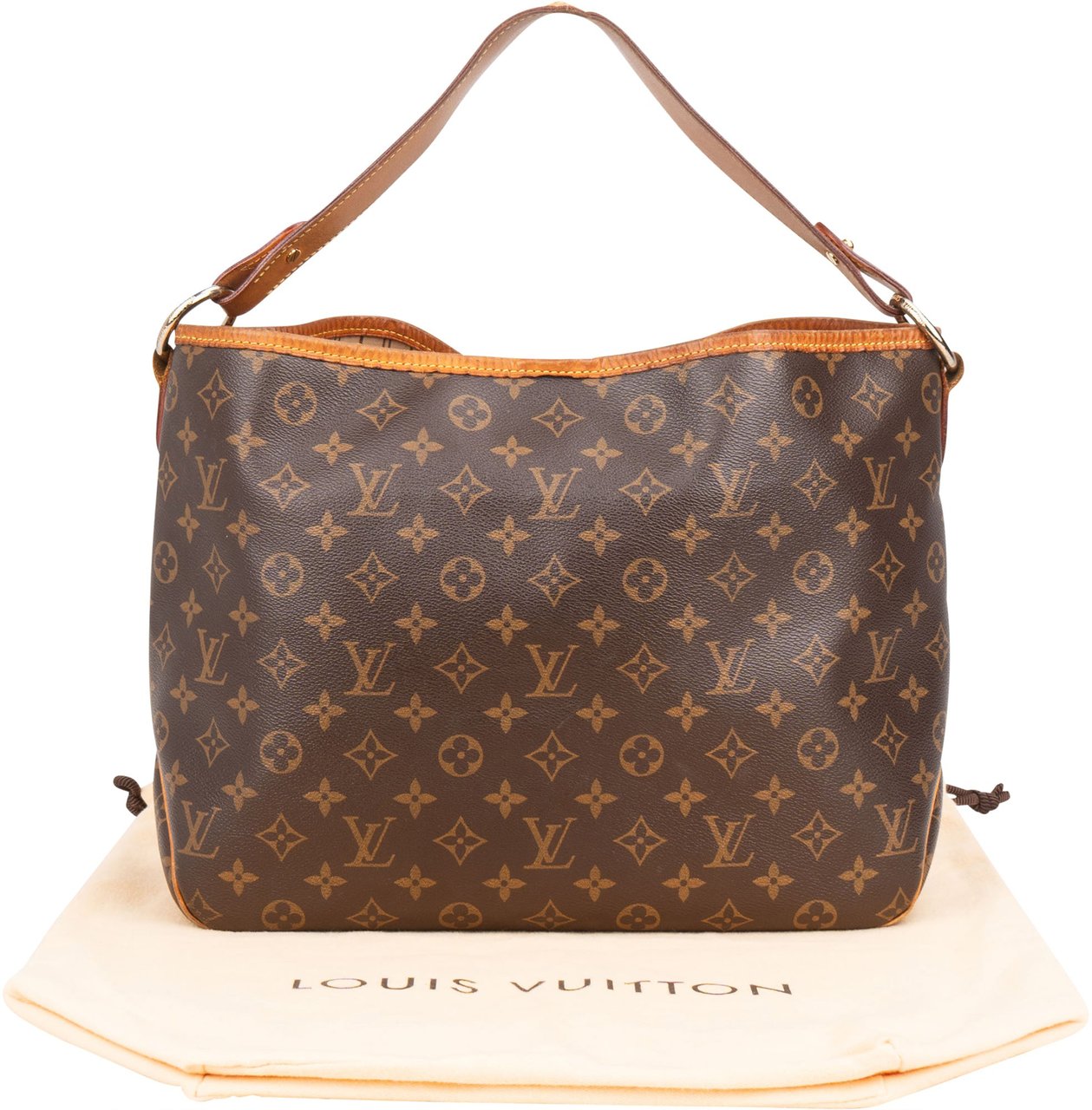 Louis Vuitton Louis Vuitton Canvas Monogram Delightful PM Handbag Bruin