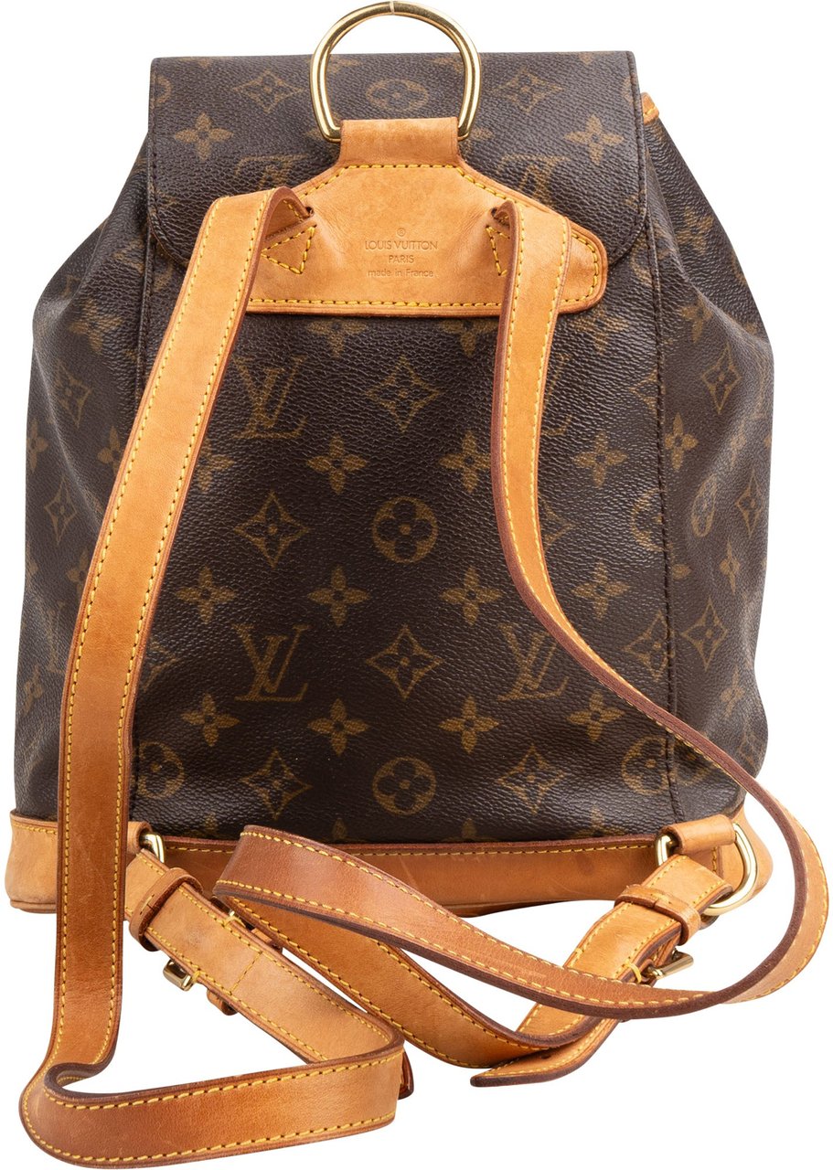 Louis Vuitton Louis Vuitton Canvas Monogram Montsouris MM Backpack Bruin