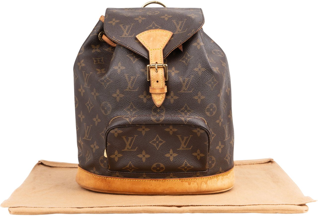 Louis Vuitton Louis Vuitton Canvas Monogram Montsouris MM Backpack Bruin