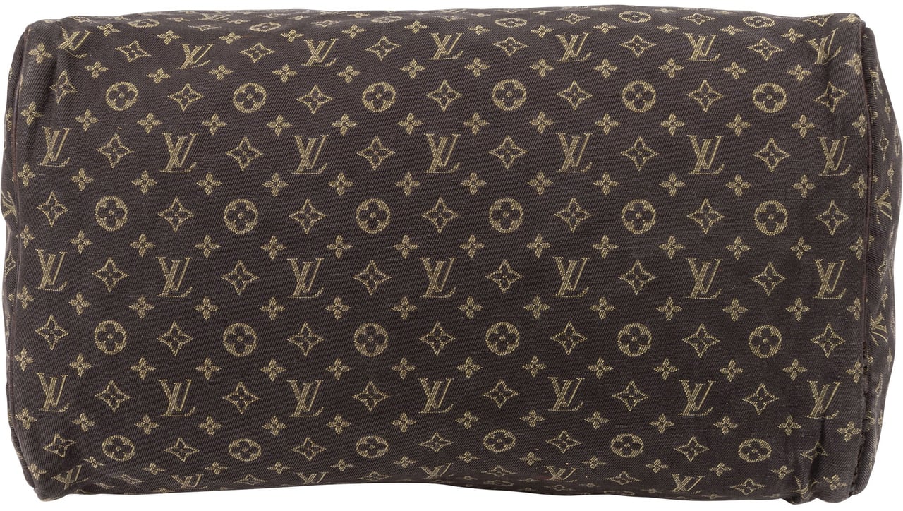 Louis Vuitton Louis Vuitton Mini Lin Monogram Speedy 30 Handbag Bruin