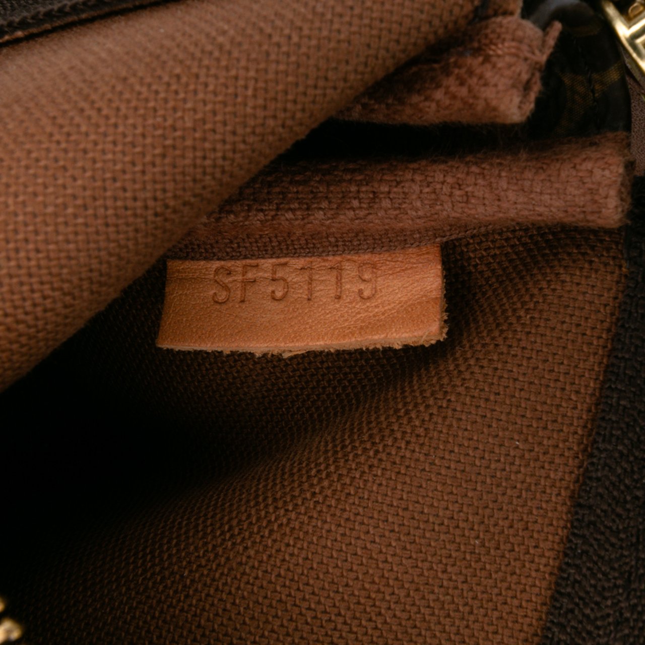 Louis Vuitton Monogram Mini Pochette Accessoires Bruin