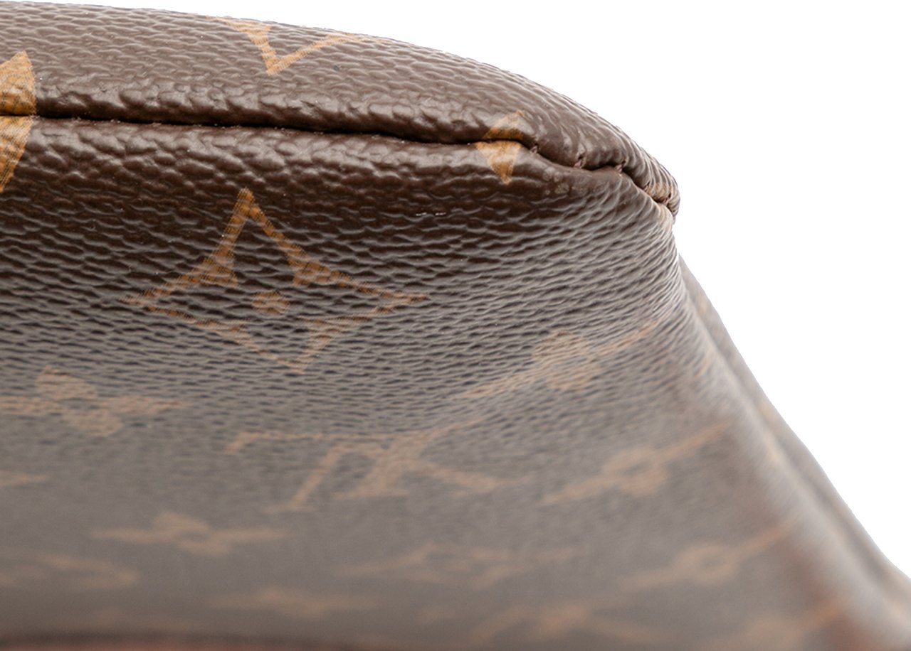 Louis Vuitton Monogram Daily Pouch Bruin