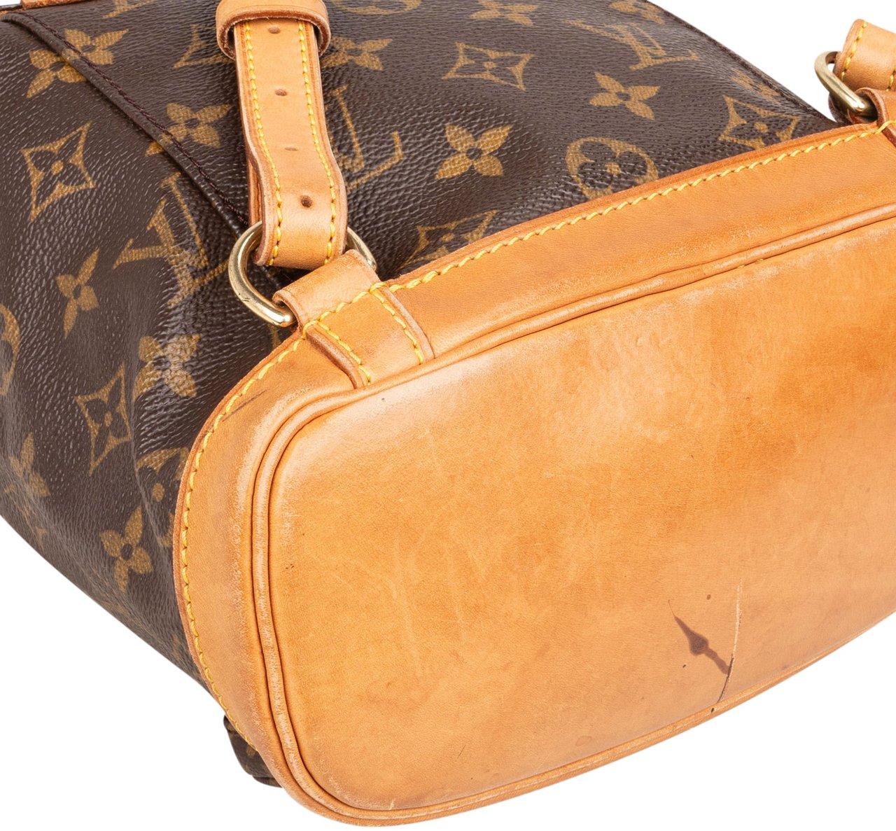 Louis Vuitton Louis Vuitton Canvas Monogram Montsouris PM Backpack Bruin