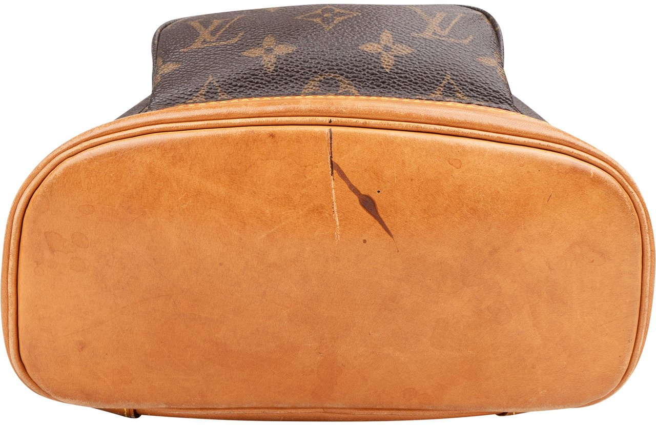 Louis Vuitton Louis Vuitton Canvas Monogram Montsouris PM Backpack Bruin
