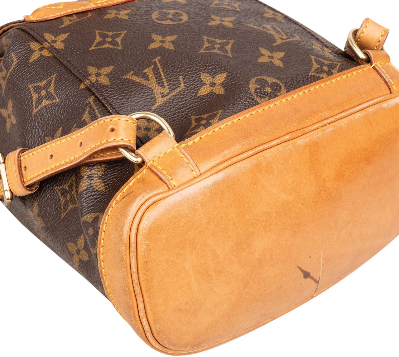 Louis Vuitton Louis Vuitton Canvas Monogram Montsouris PM Backpack Bruin