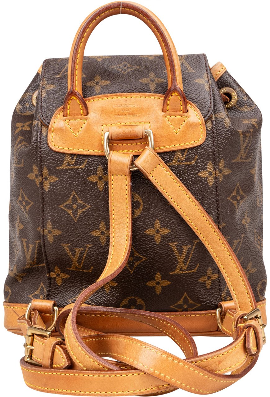 Louis Vuitton Louis Vuitton Canvas Monogram Montsouris PM Backpack Bruin
