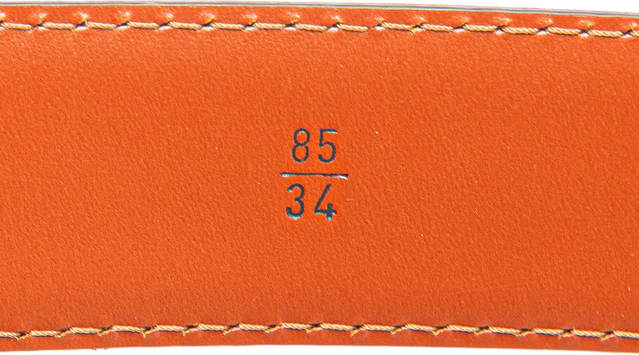 Louis Vuitton Epi Tilsitt Belt Bag Bruin