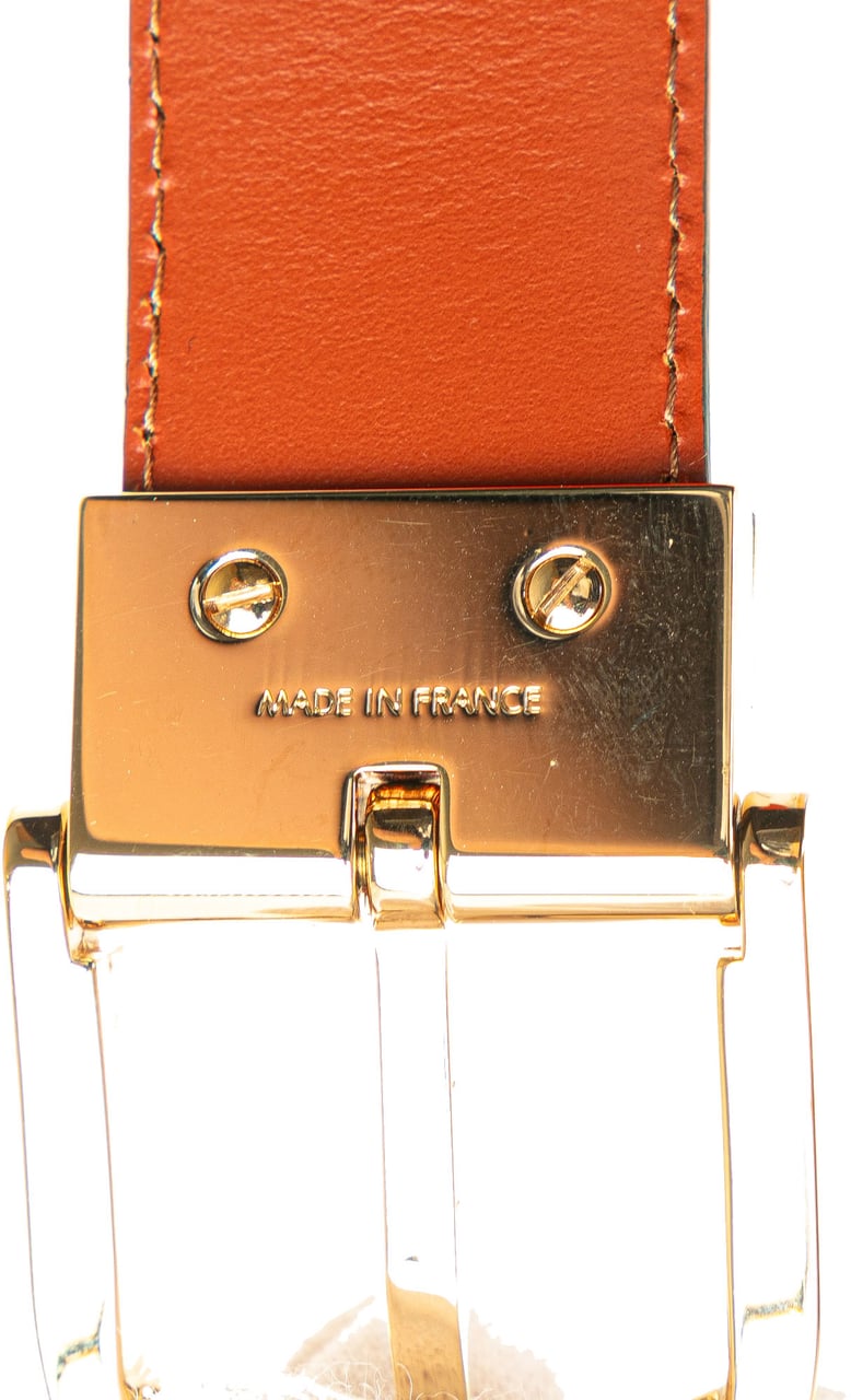 Louis Vuitton Epi Tilsitt Belt Bag Bruin