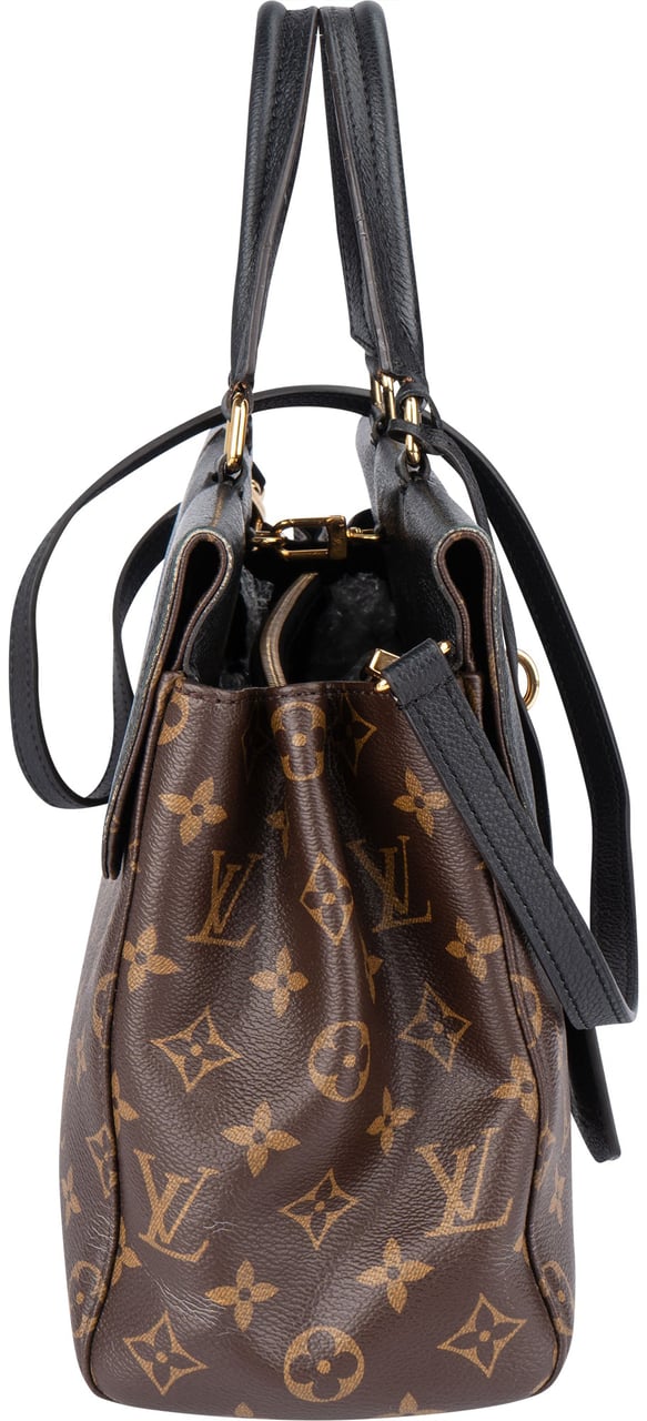 Louis Vuitton Louis Vuitton Canvas Monogram Venus Handbag Divers