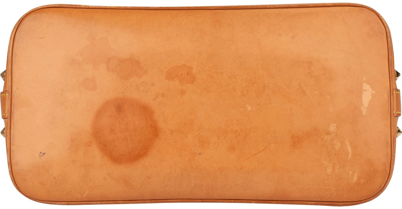 Louis Vuitton Louis Vuitton Murakami Multicolor Alma PM Handbag Wit