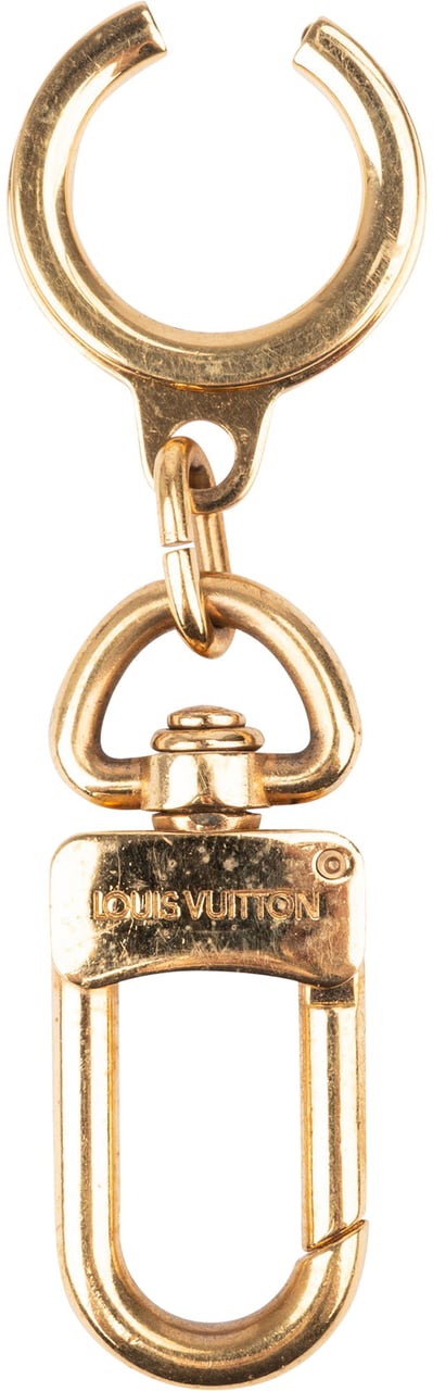 Louis Vuitton Louis Vuitton Golden Pochette Extension Goud