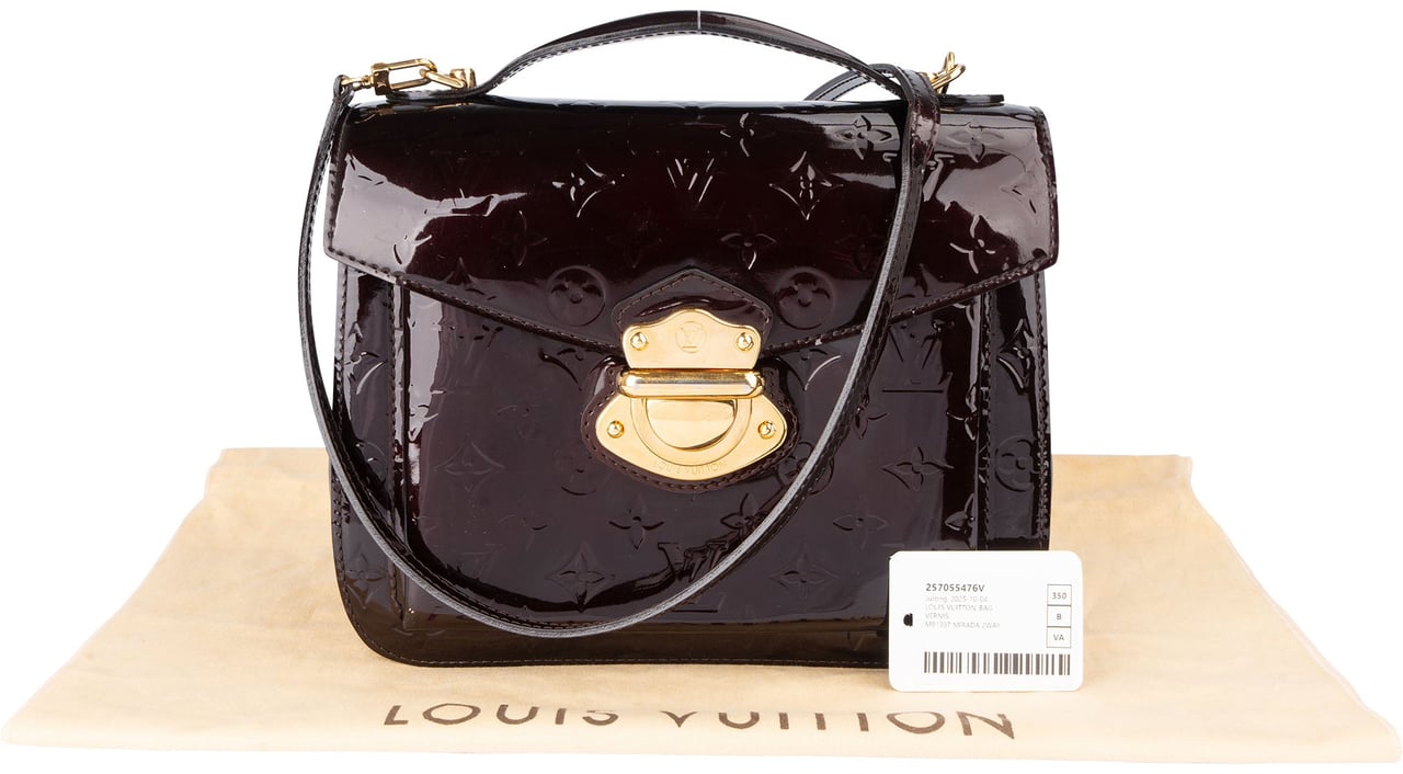 Louis Vuitton Louis Vuitton Vernis Monogram Mirada Handbag Divers