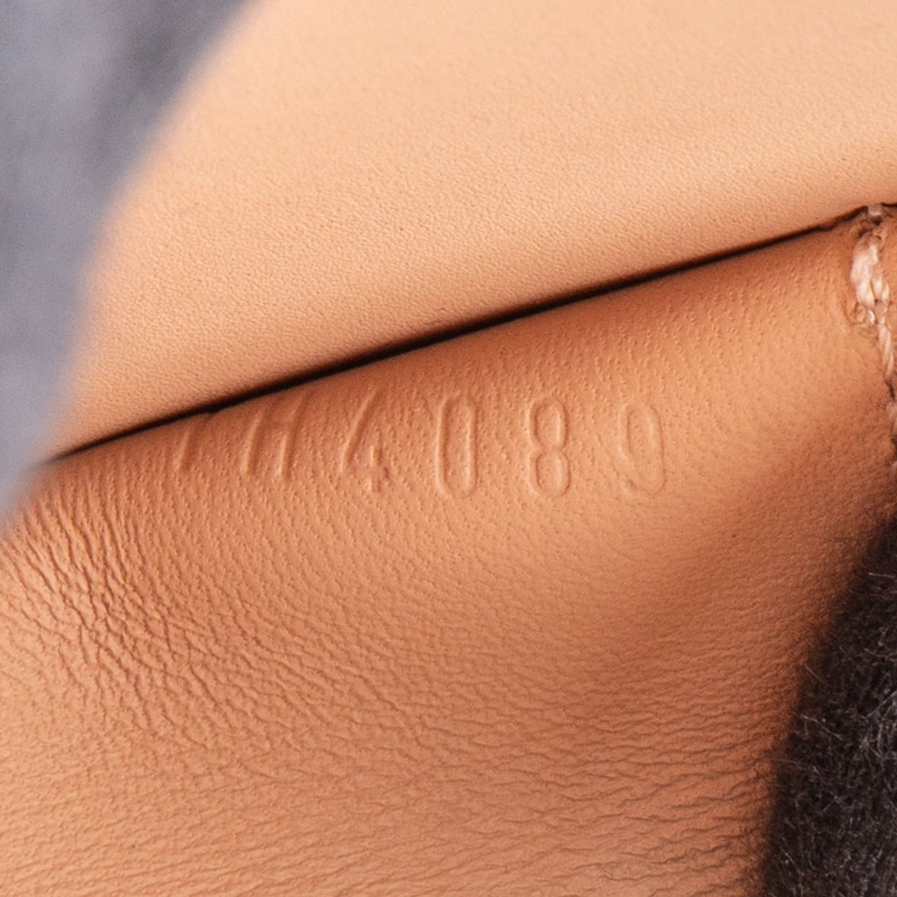 Louis Vuitton Louis Vuitton Limited Vernis Monogram Bird Coin Purse Geel