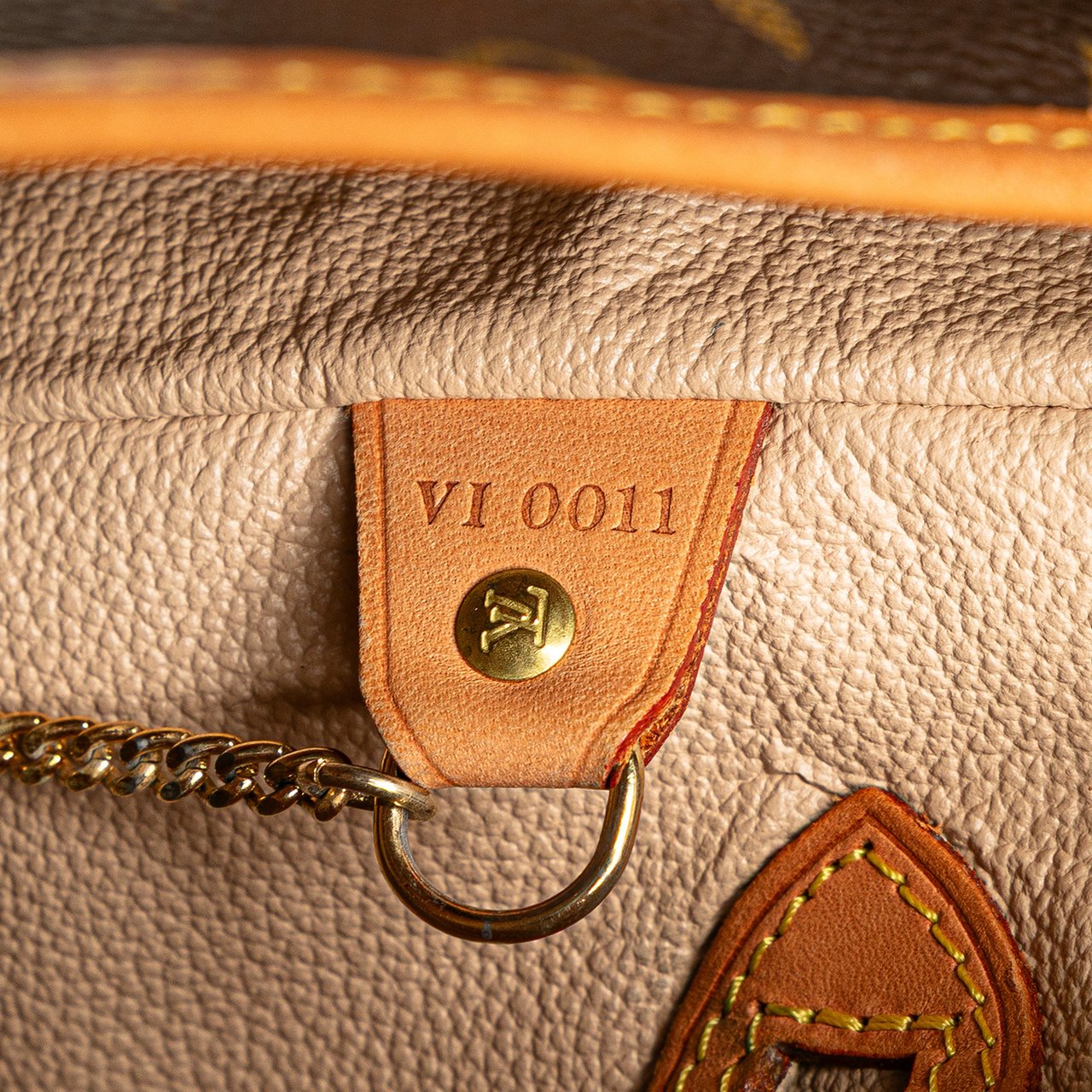 Louis Vuitton Monogram Petit Bucket Bruin