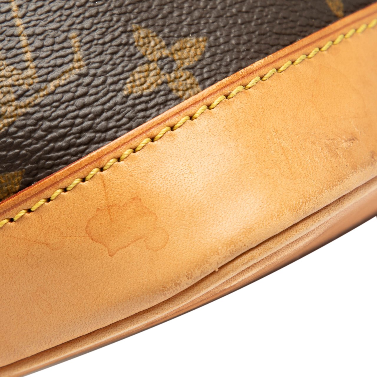Louis Vuitton Monogram Alma PM Bruin